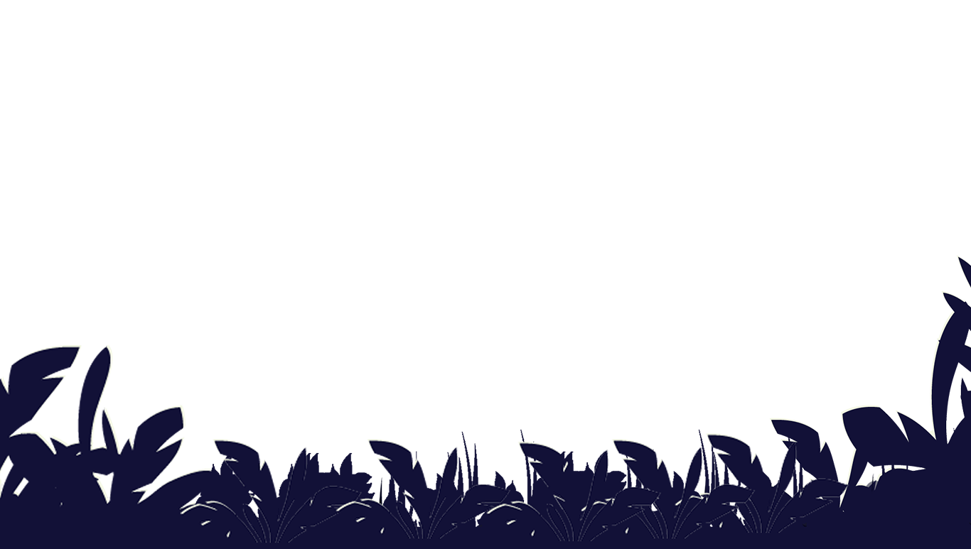 grass-1
